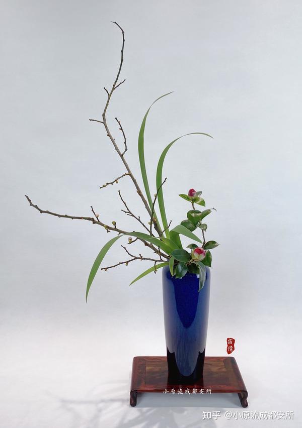 日本小原流花道 我与花的21春之约会 知乎