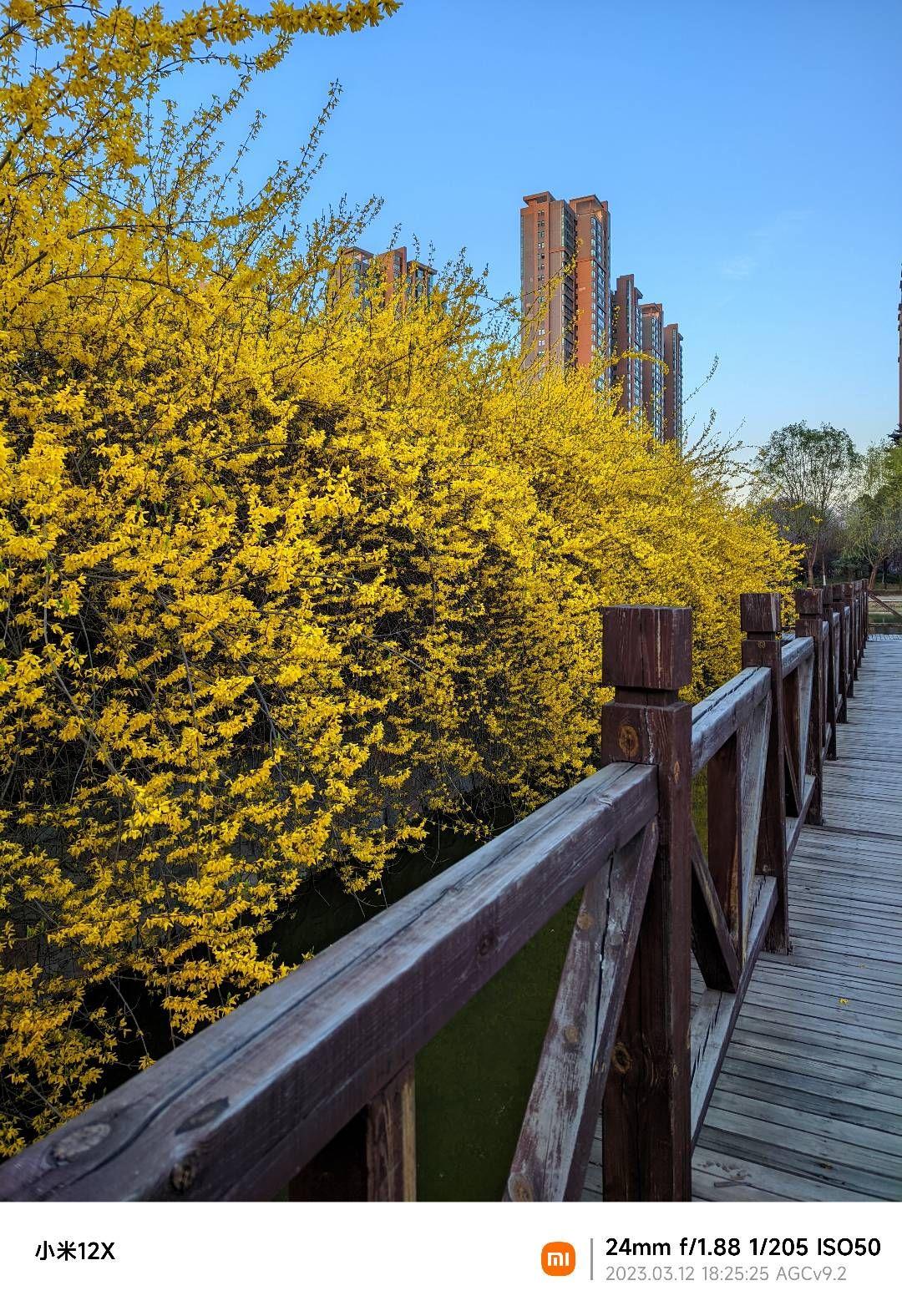 洛阳兴洛湖公园的环境怎么样?