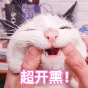 v2-cfe577911a3eee293103355fbb131dbd_1440w.jpg?source=172ae18b