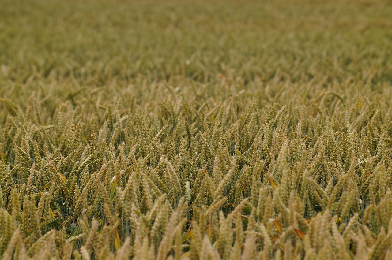原野汽配城位置在哪里