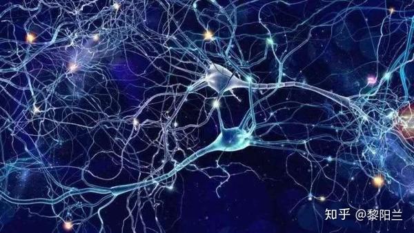 正念冥想训练,有效训练大脑的专注力,提升你的生活和生命质量.