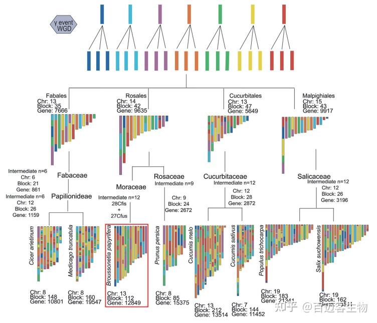 基因组联合代谢组与转录组锁定关键通路--03 - 知乎