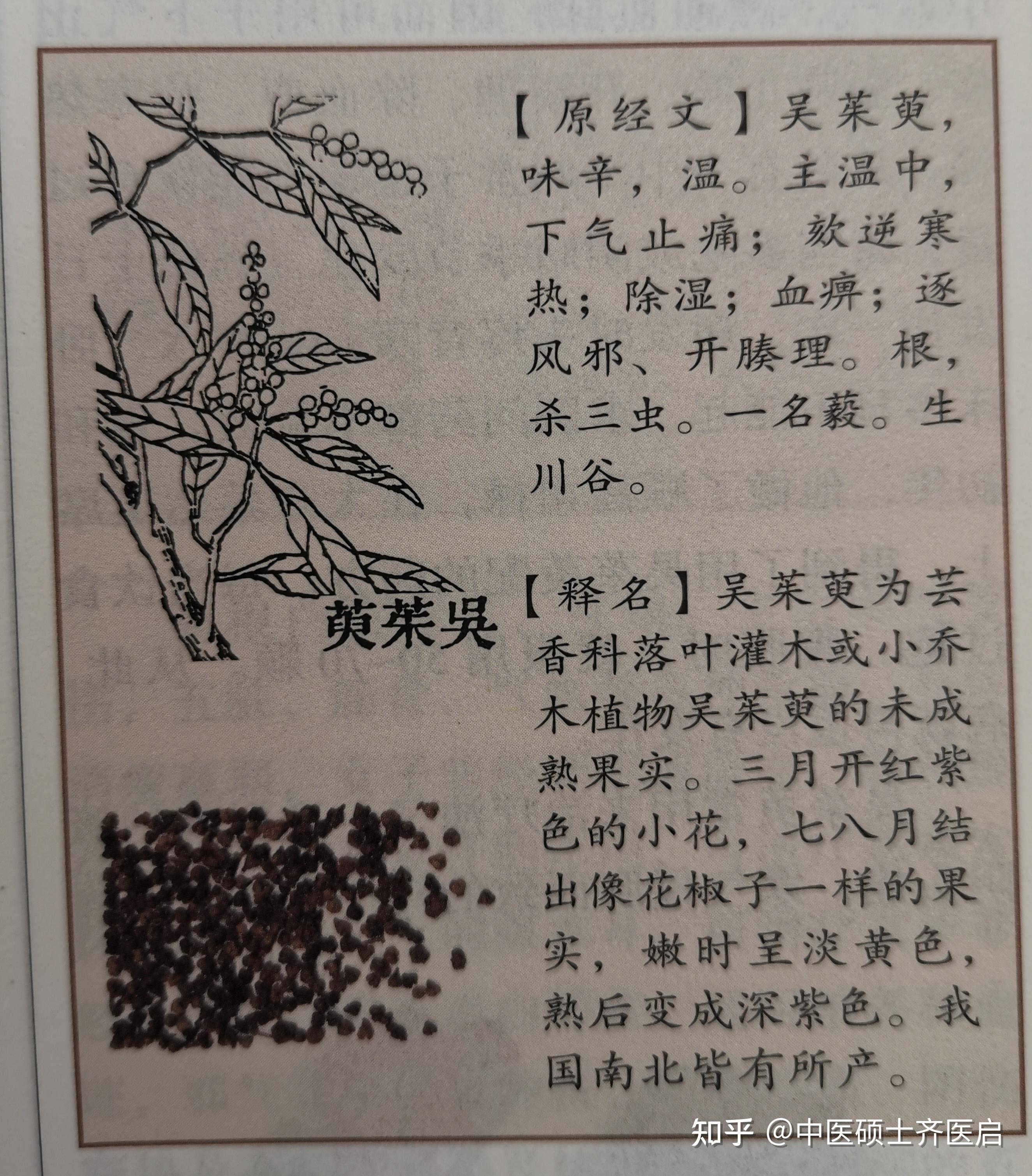 瓜蒌桂枝汤图片