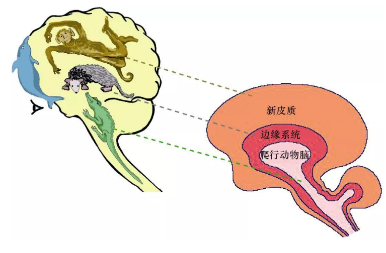 人可能反抗生物本能吗