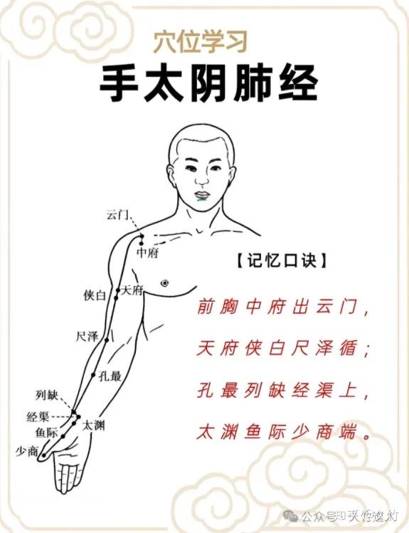 《每天认识一个穴位》之“经渠穴”治疗咳嗽 - 知乎