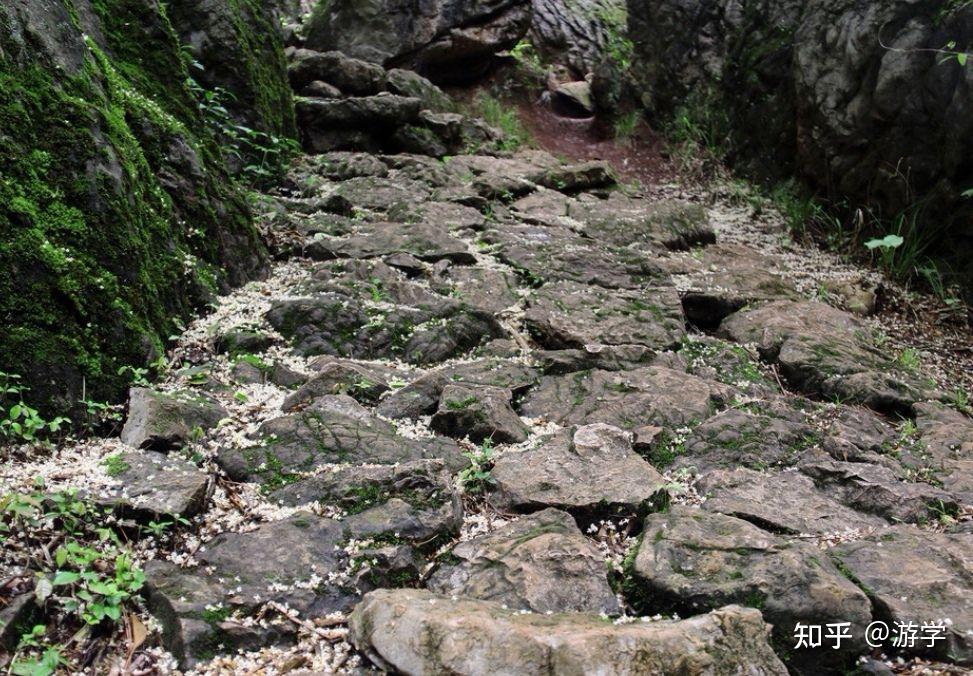 五绝有感茅坑里的石头