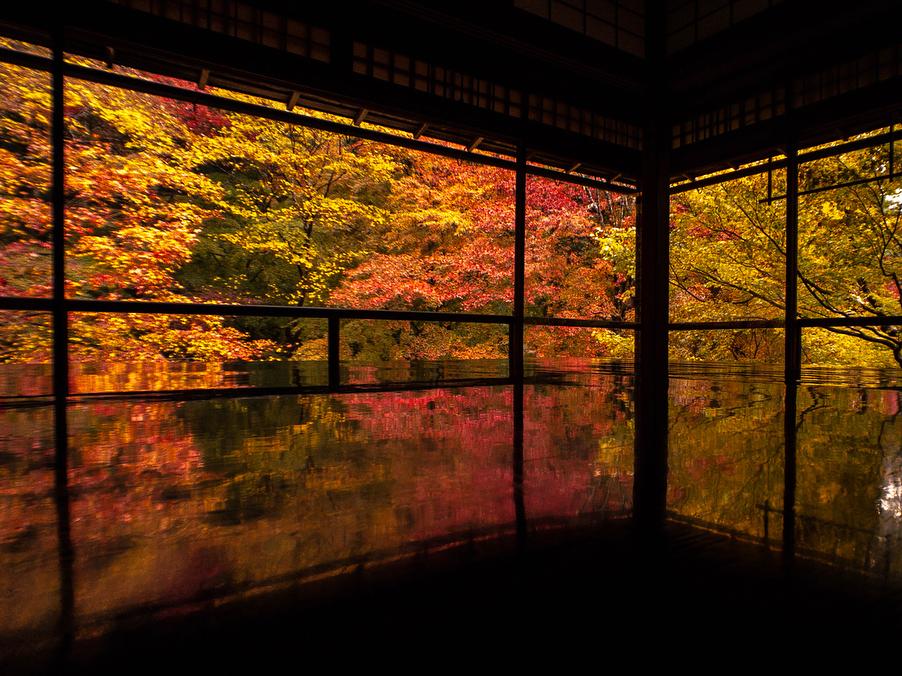 京都の赏枫攻略 每年只开放两次的琉璃光院 美得太任性 知乎