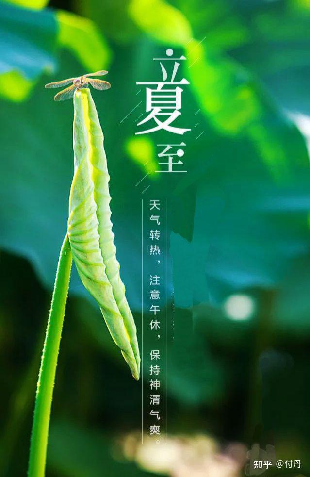 今天是2021年5月5日,星期三,三月二十四.今日立夏,夏满华夏,情长人间.