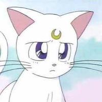 Zhihu profile picture for @eighties