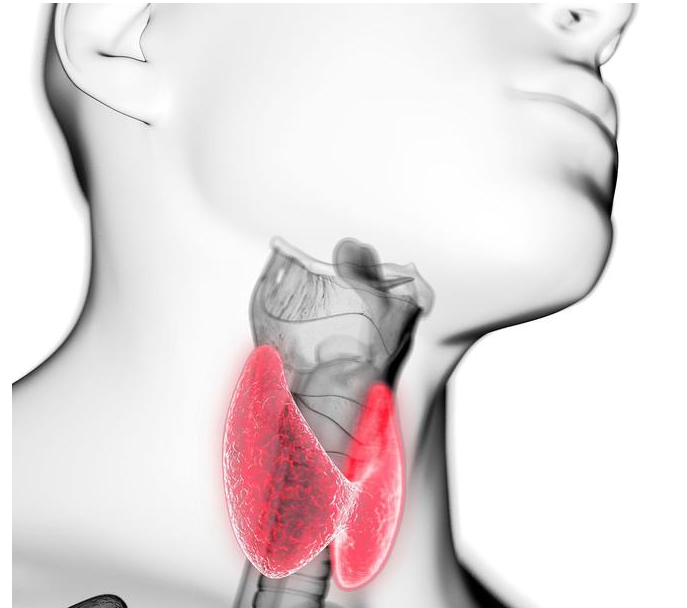 有哪些臨床症狀可以幫助我們判斷甲狀腺功能異常