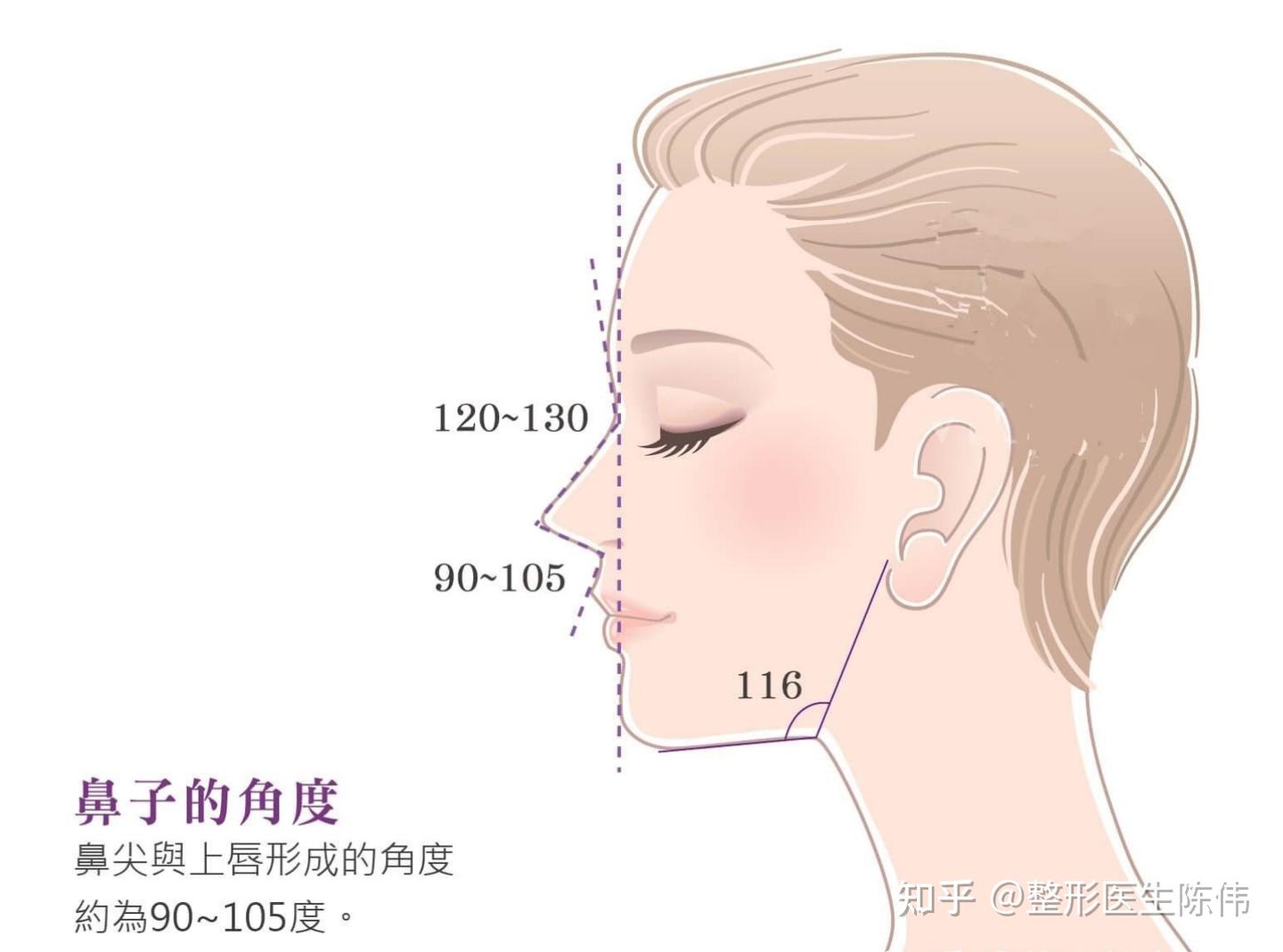 为什么有些人是朝天鼻? - 知乎