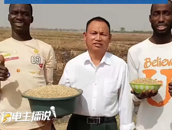 大叔因太会种地在非洲被持枪保护，他究竟给当地带来了什么？