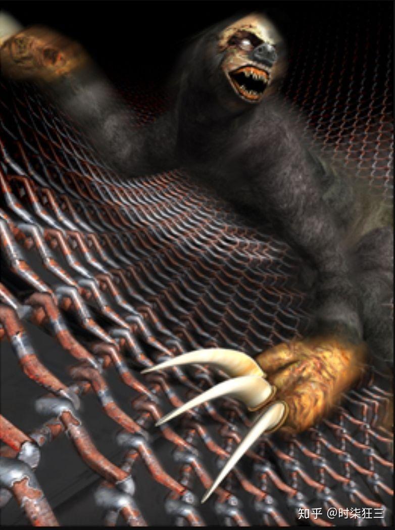 如何评价qq空间这只刷爆的恐怖树懒