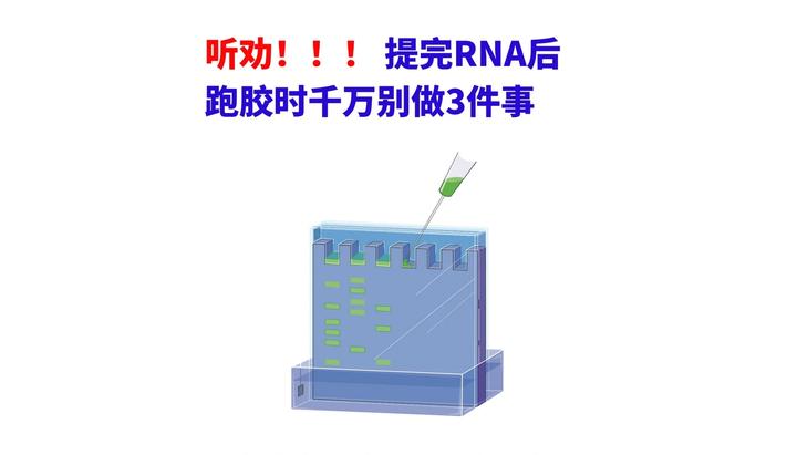 听劝 提完RNA,跑胶时这3个错误别犯 - 知乎