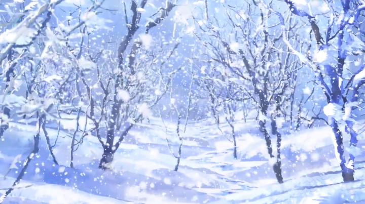 冬雪 - 知乎