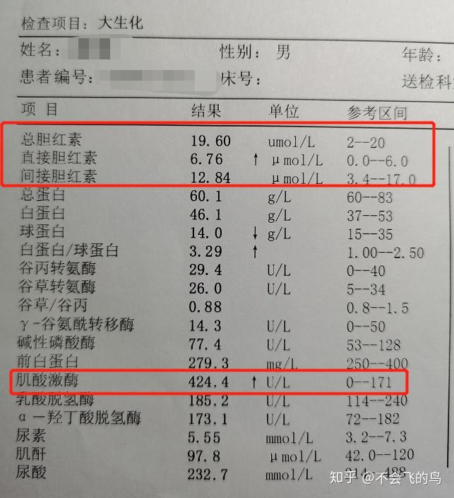 总胆红素和间接胆红素偏高