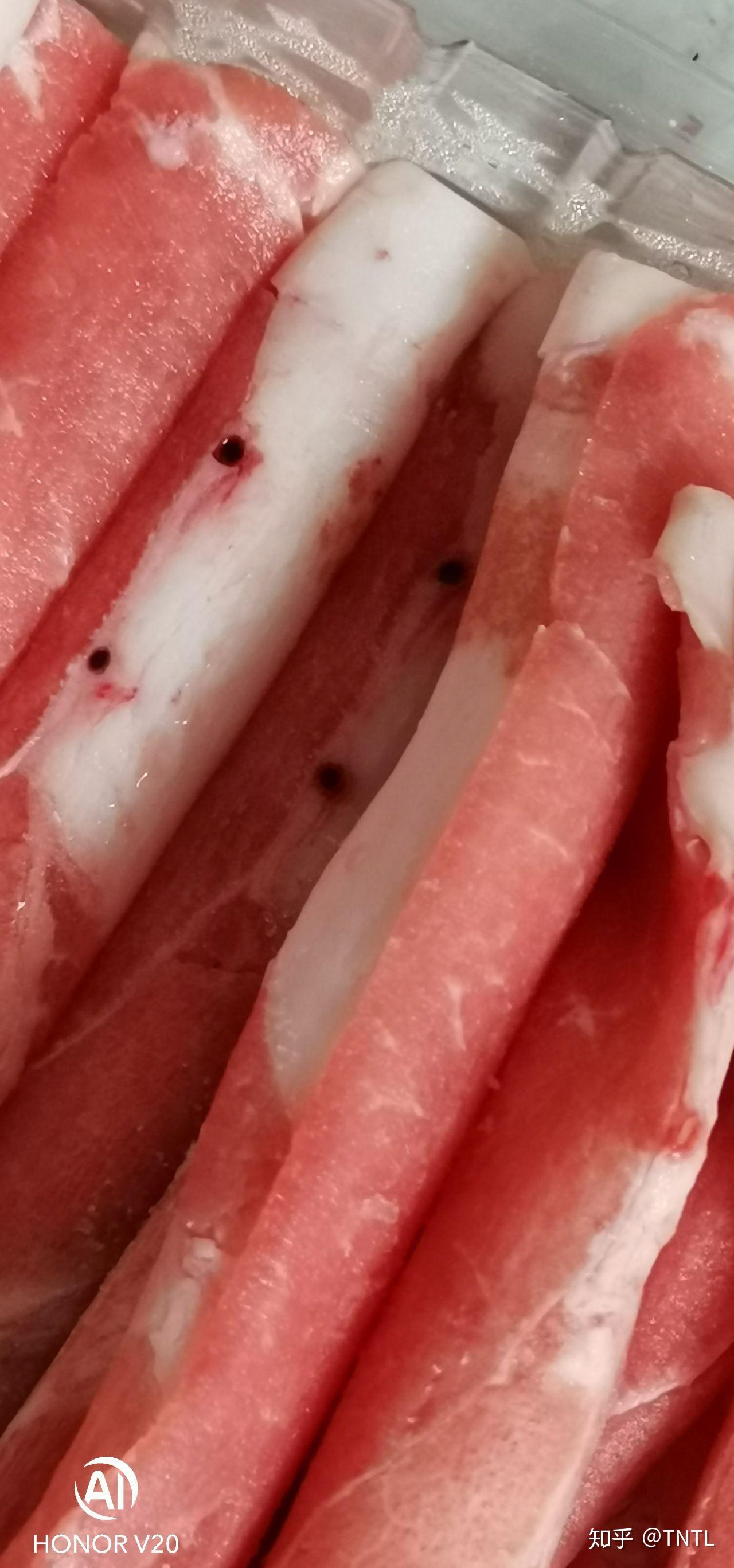 猪肉里的红色线虫图片图片