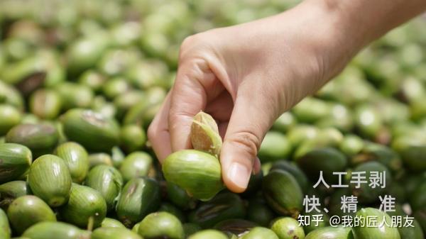 坚果中的“爱马仕”——香榧，为什么卖得那么贵？ - 知乎