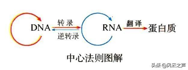 知乎专栏