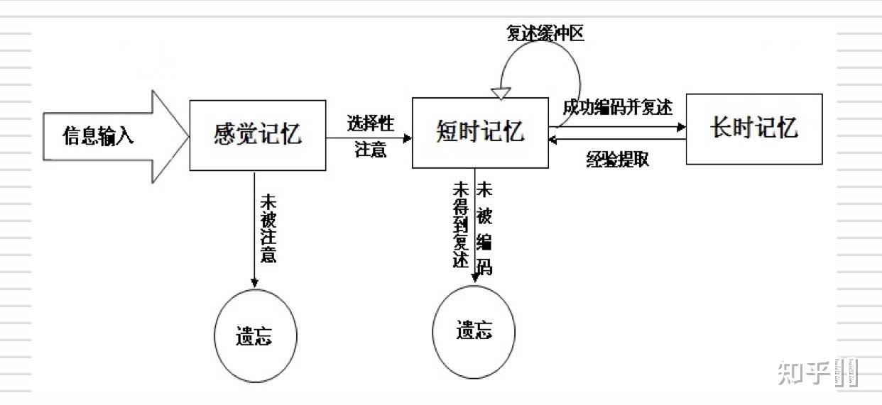 记忆的过程包括什么 知乎