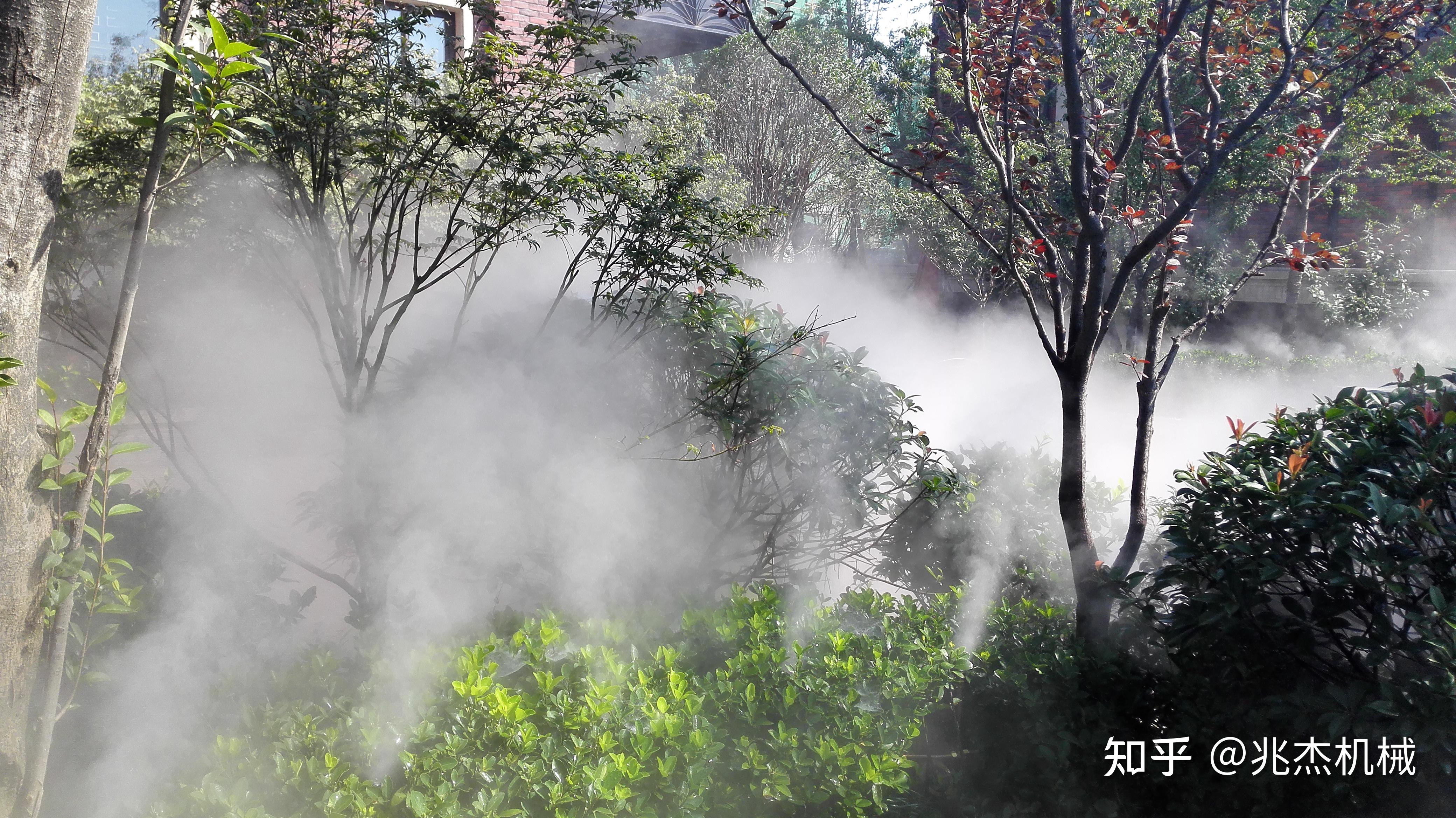 雾森人造雾景观在园林中效果怎么样? - 知乎
