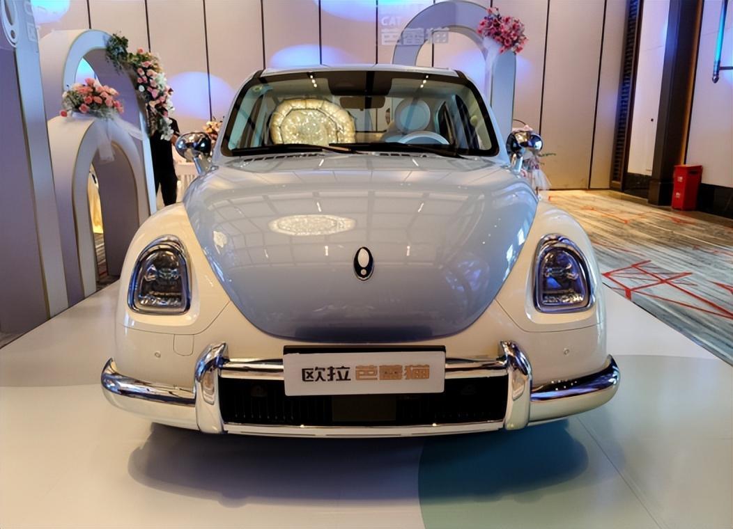 复古优雅欧拉芭蕾猫送女神的七夕礼物