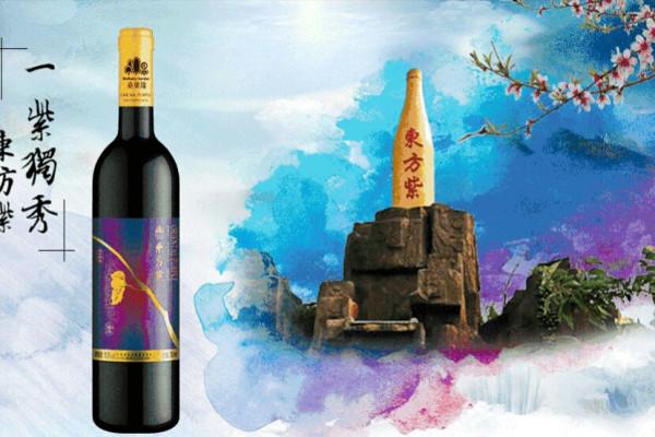 东方紫酒业推进桑文化全域旅游