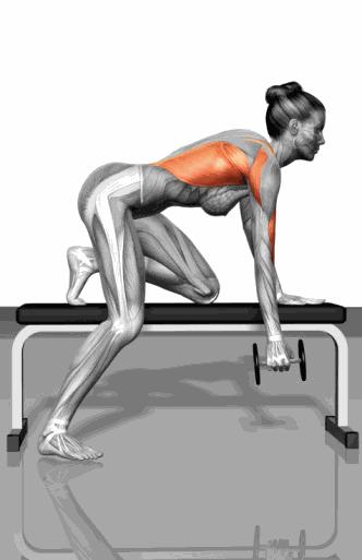 对侧手臂和大腿同时抬起肩背臀腿都有参与滚轮支点俯卧撑屈肘 外展