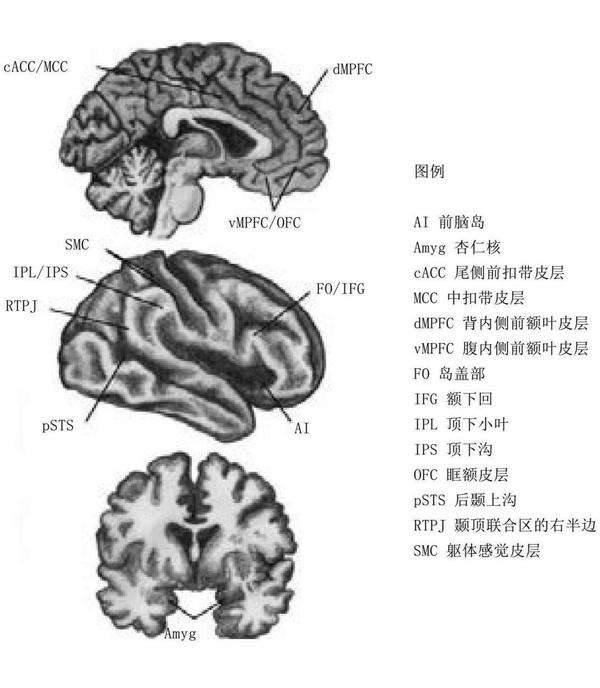 【笔记】关于共情 - 知乎