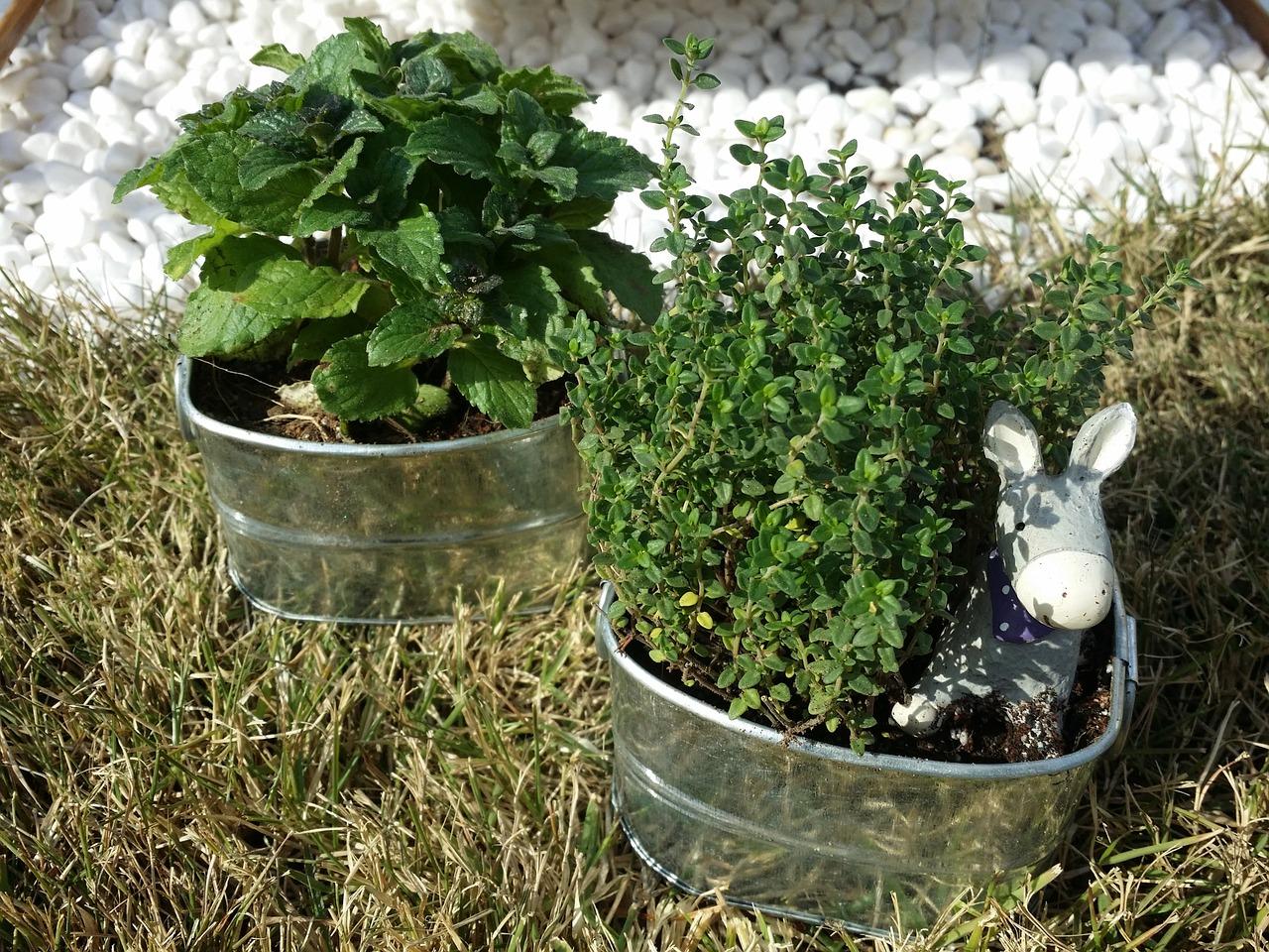 假山风水布局解析