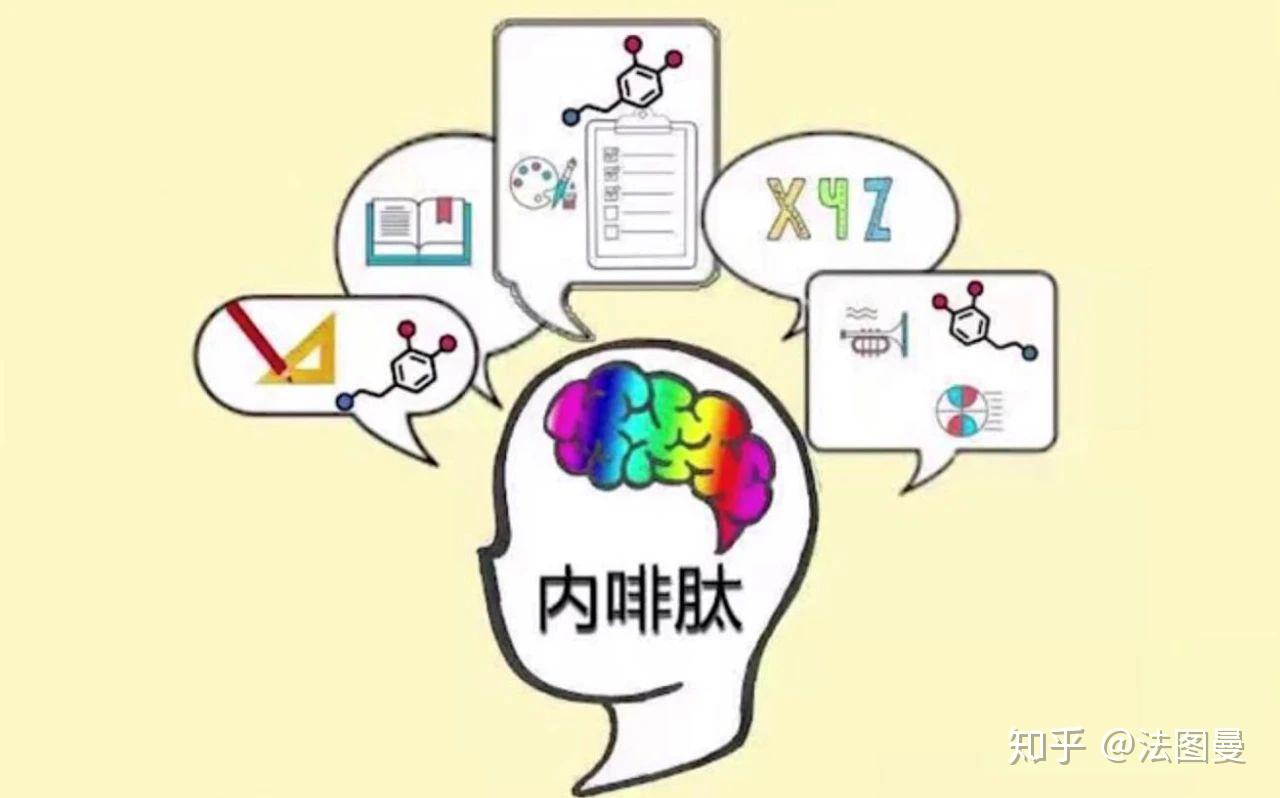 会喜欢打勾的感觉,而大脑持续兴奋的时候,就会产生一种叫内啡肽的物质