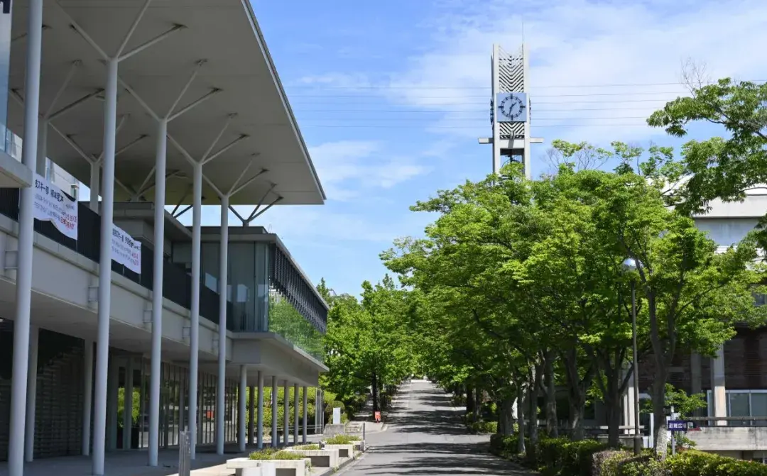 请输入图片描述