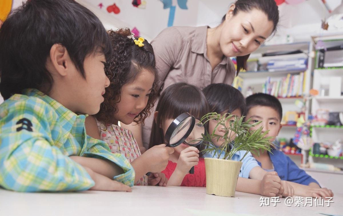 教育也有馬太效應父母做到這4點把孩子培養成優秀生