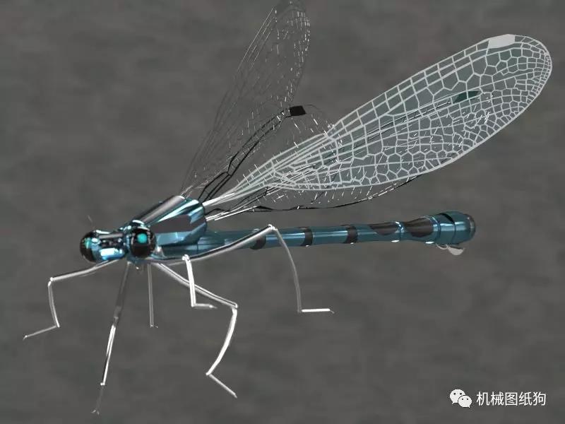 生活艺术 Damselfly蜻蜓蜻蛉模型3d图纸step格式 知乎