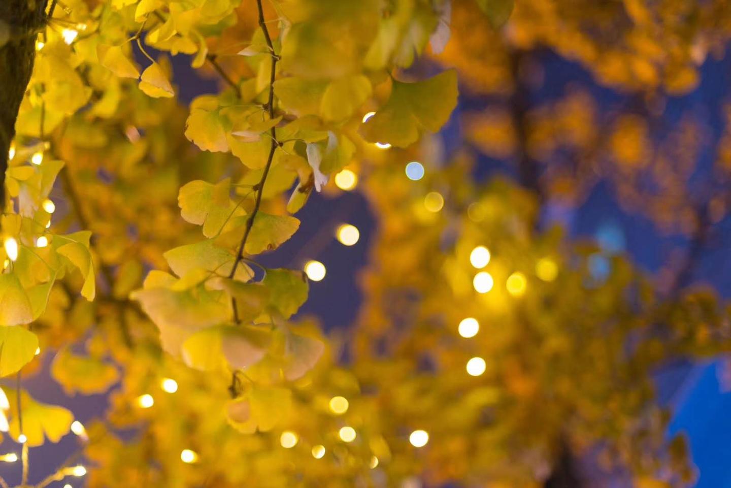 在成都夜徒 温柔地走过你爱的城市 知乎