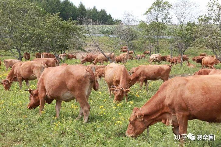 卧底99元电影票黄牛群暴利灰产背后有何猫腻