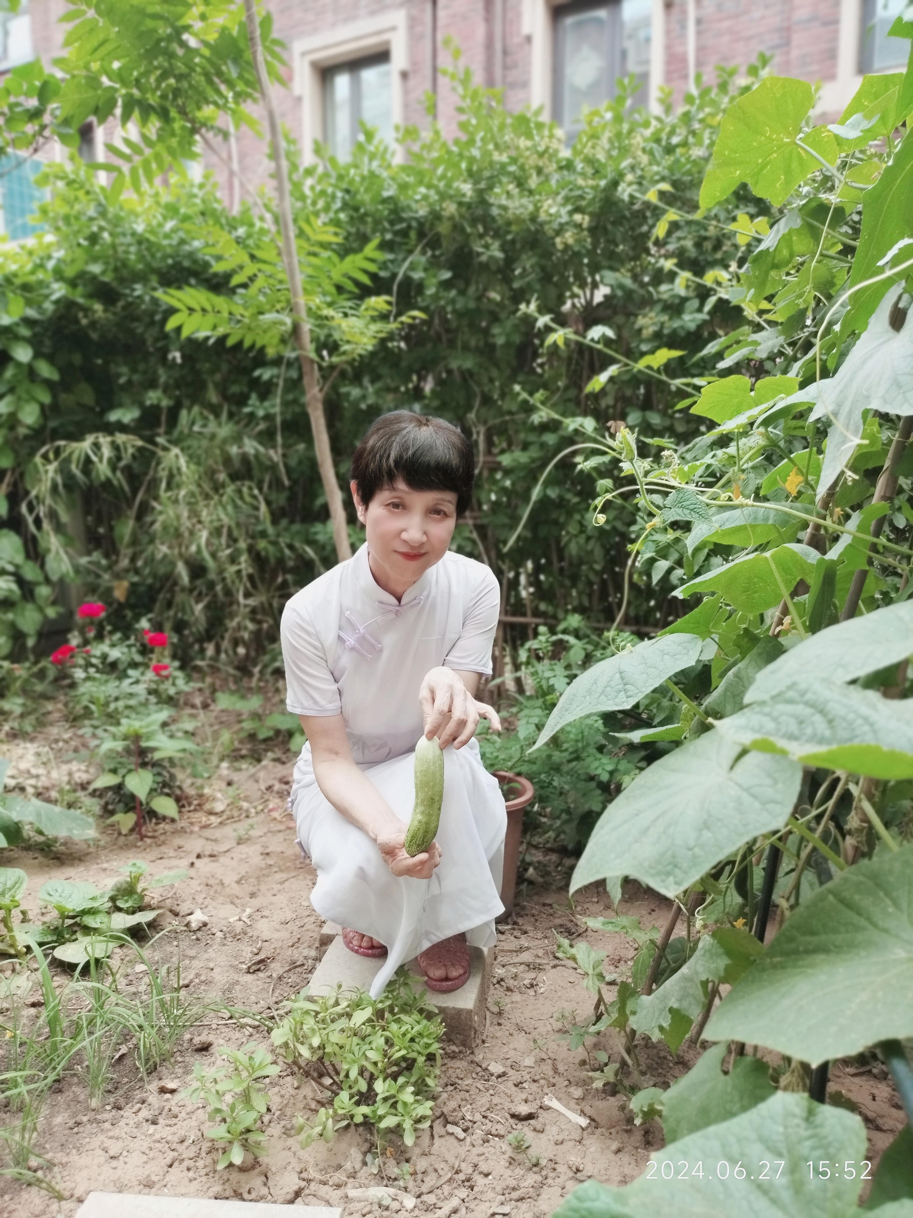 北方人口中的「硬菜」是什么菜呢？什么标准才达标呢？ - 知乎