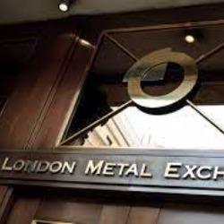 生猪期货在大连商品交易所上市满五周年 已成行业稳经营重要工具南宫28官网- 南宫28官方网站- 南宫28APP下载