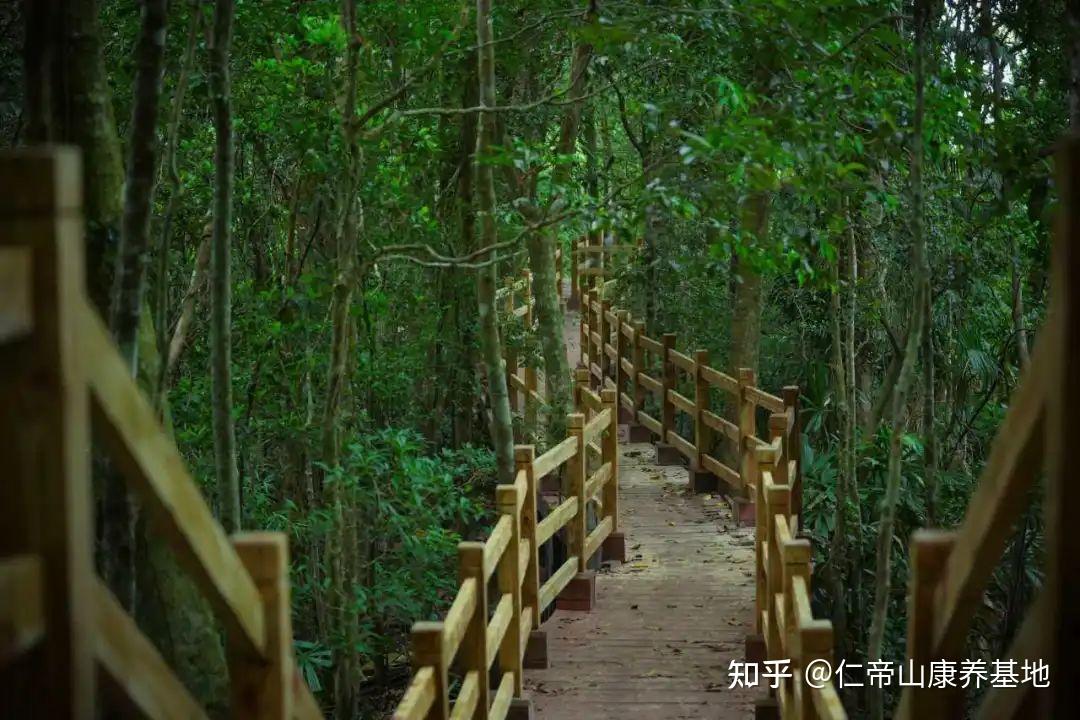 还在佛系养生? 现在都流行来海南康养旅游啦! - 知乎
