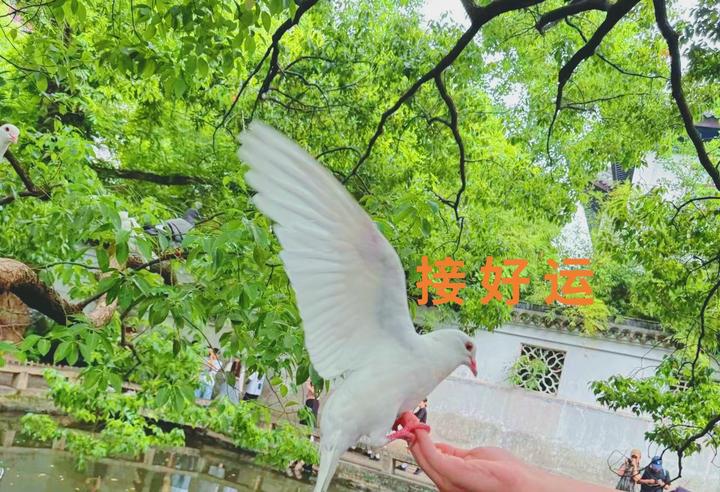 好运竟然靠策划,做好这3件事让你运气越来越好(建议收藏) - 知乎