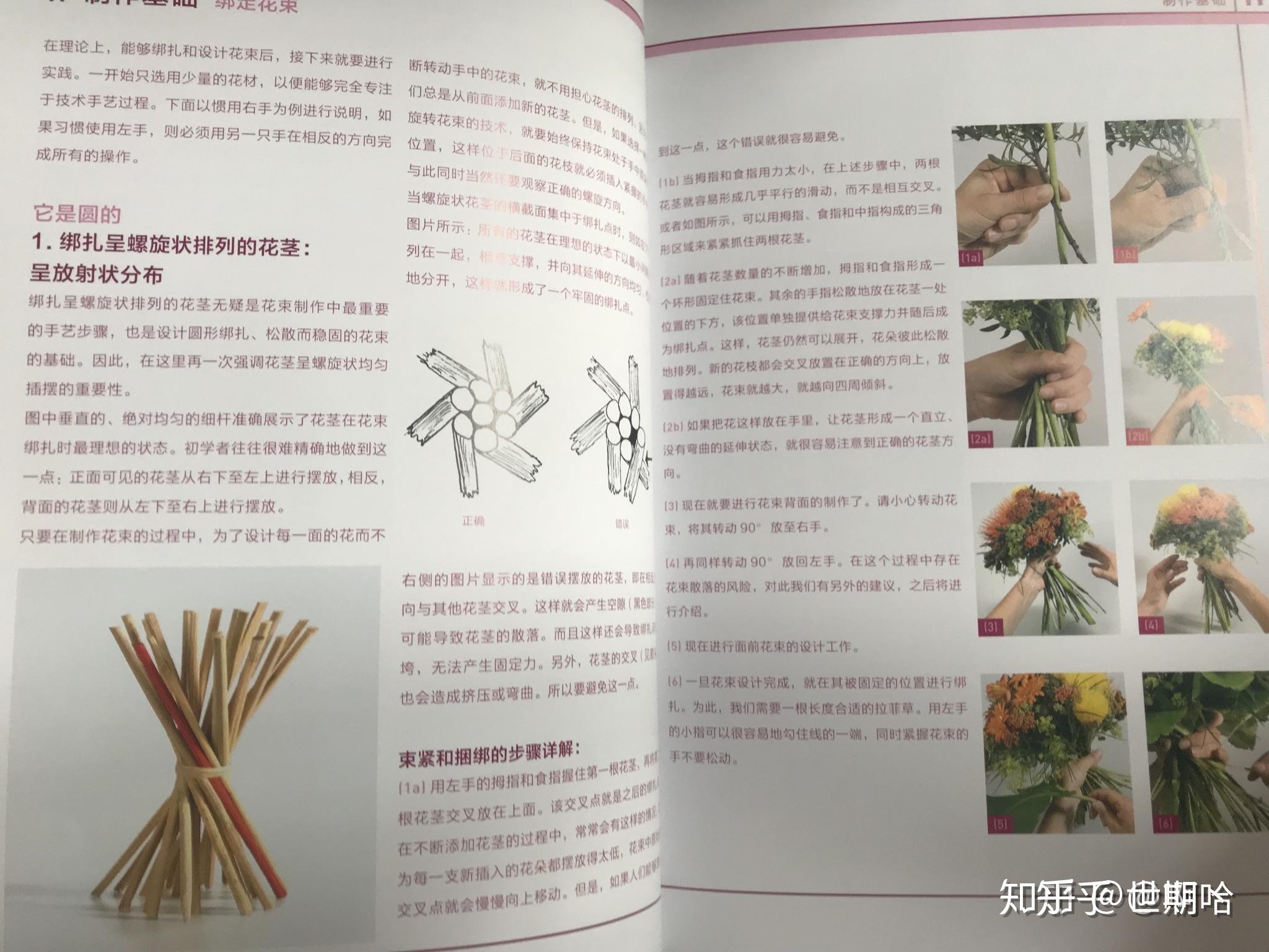 德信娱乐插花艺术 课堂笔记doc