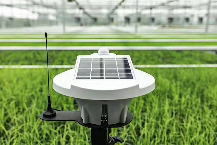 鸿控无线传感器在温室农业中的应用鸿控原创