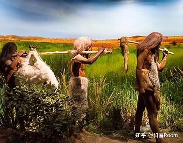人类发展的历史考古学:古人类生活的重构 - 知乎