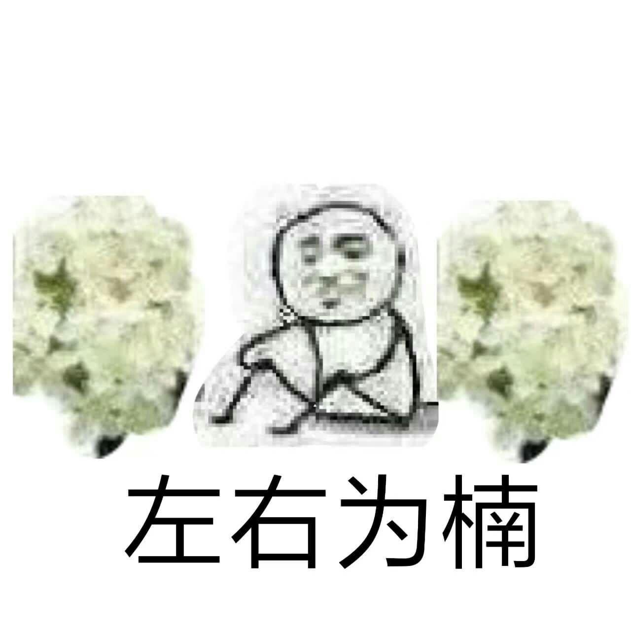 石楠花闻起来有精液的味道,为什么很多学校种