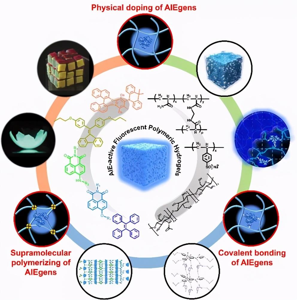 宁波材料所陈涛综述聚集诱导发射荧光聚合物水凝胶的研究进展