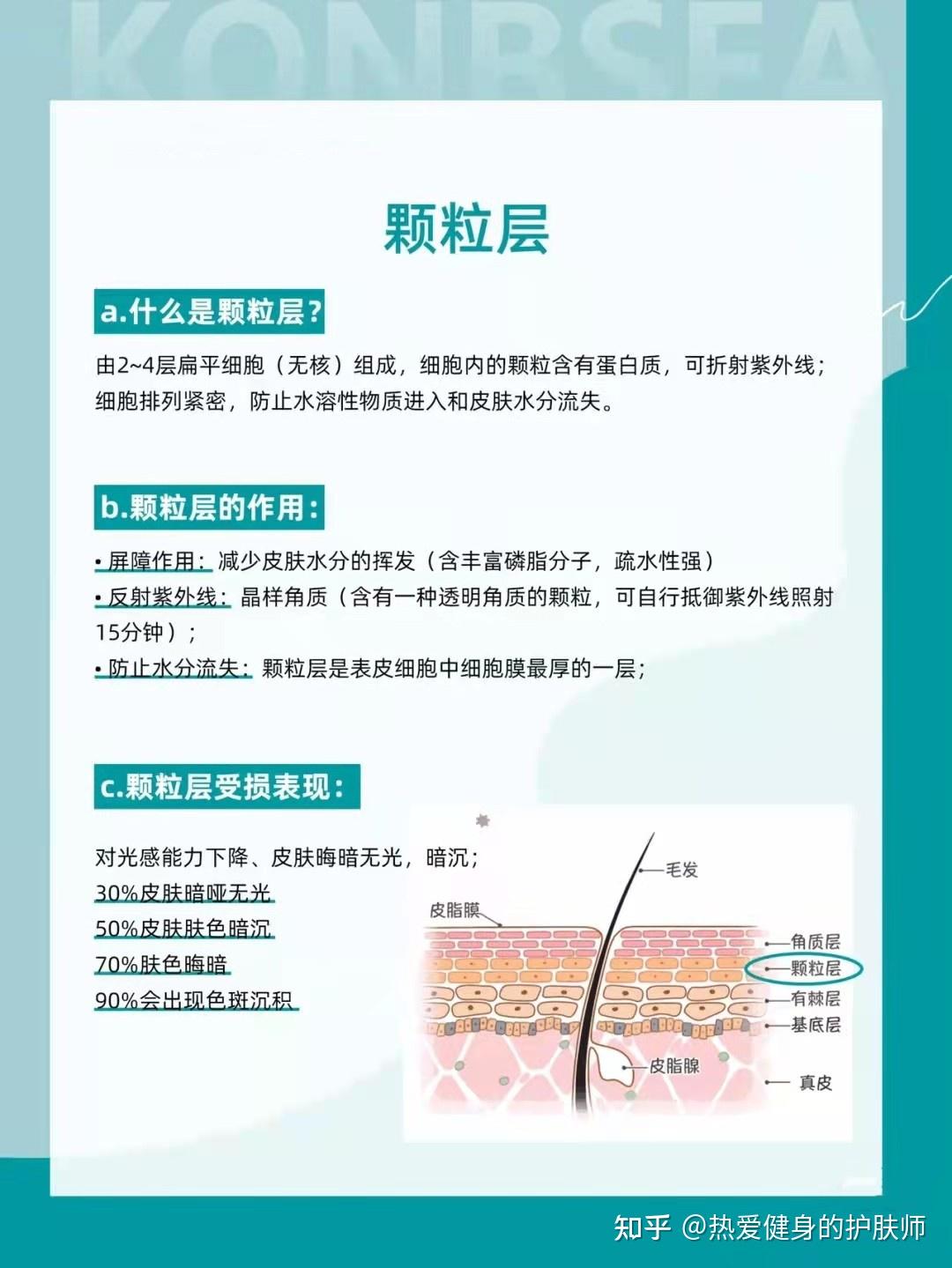 第二集人人必懂的皮肤基础知识——了解表皮结构 - 知乎