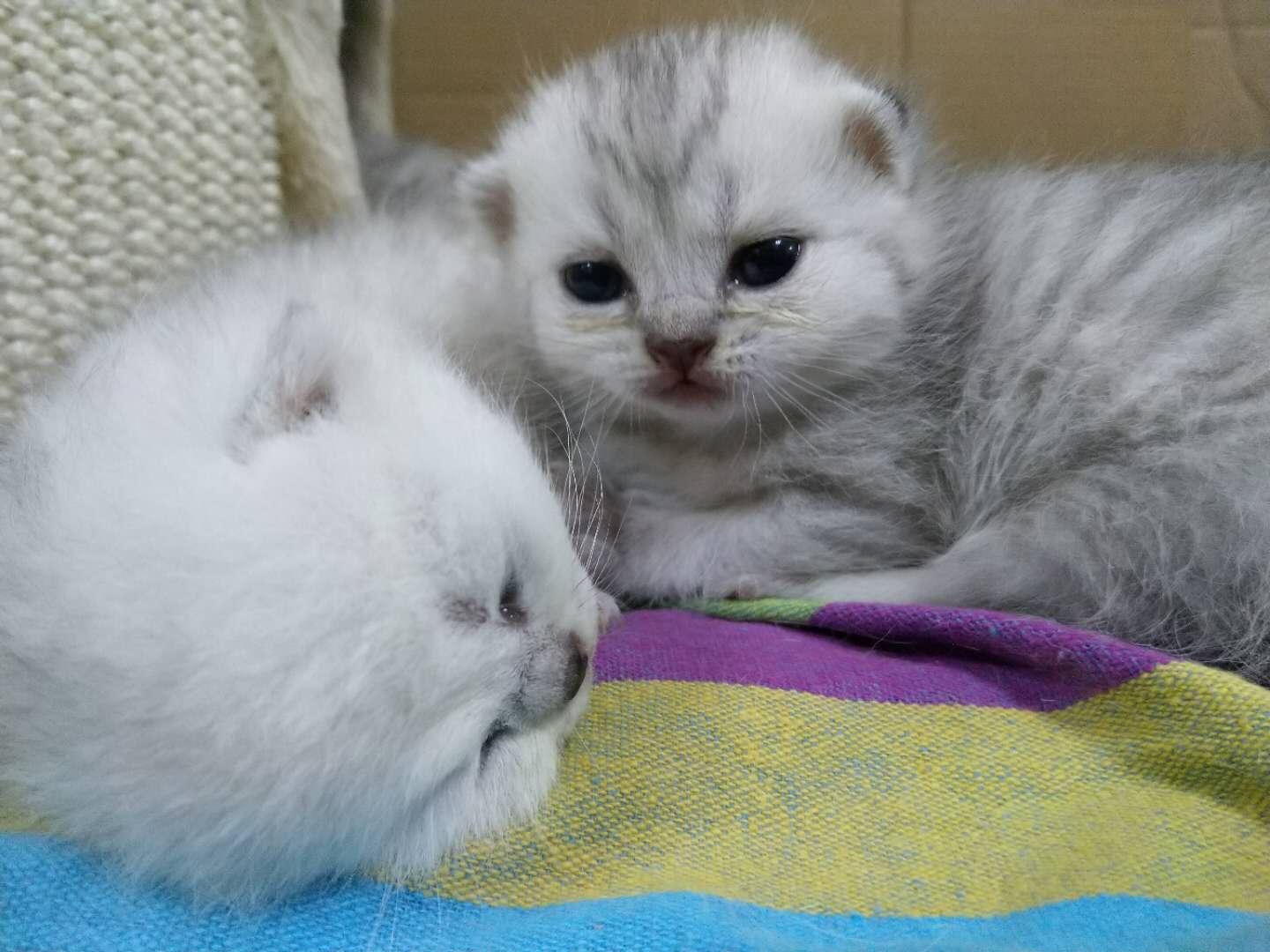 在墨墨科技(墨墨背单词)工作是一种怎样的体验