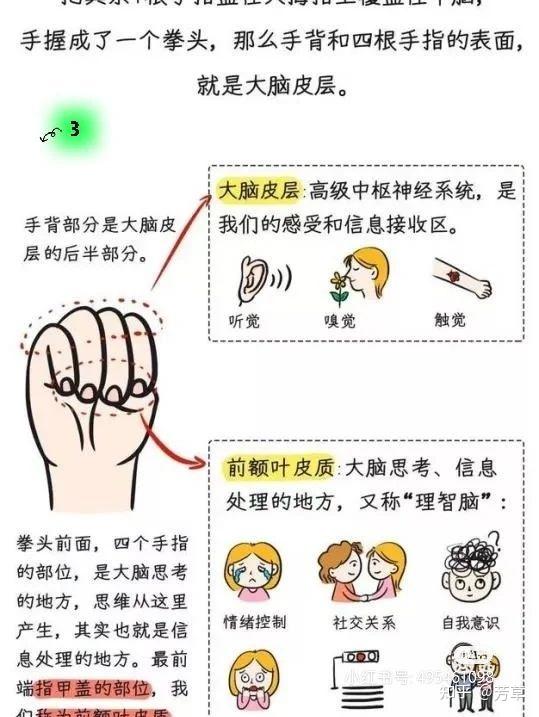 正面管教之熄灭熊孩子牌点火棒的火二