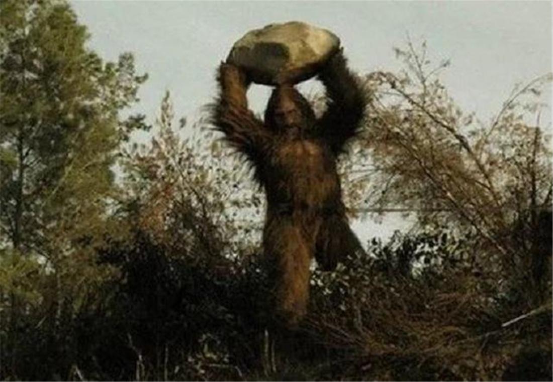 面部像猴又似人月亮山出现的不明生物到底是狗熊还是山魈