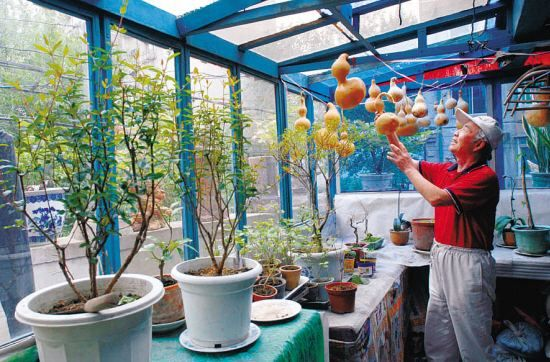 搭建一个25平米的玻璃花房多少钱 知乎